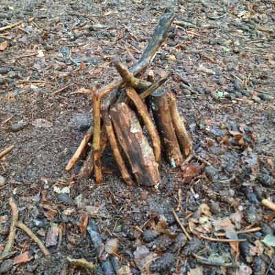 Waldtag