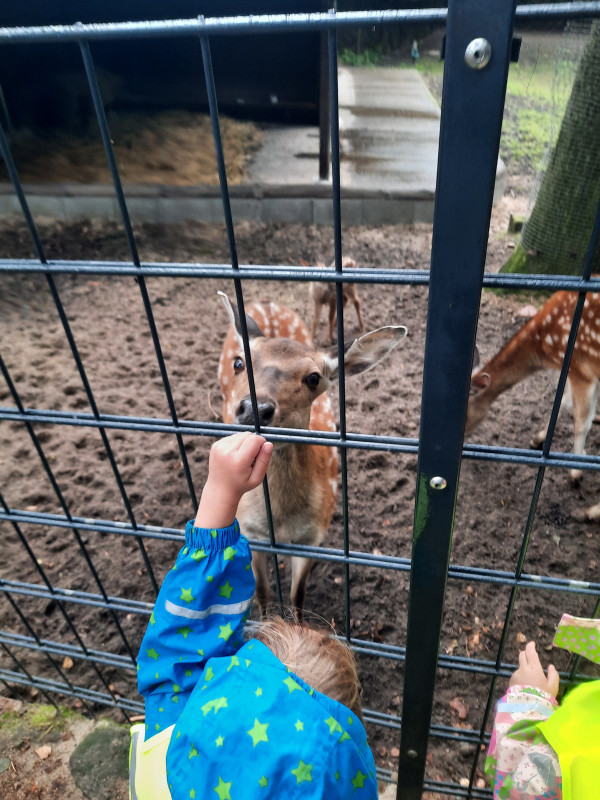 Tierpark Lüneburger Heide